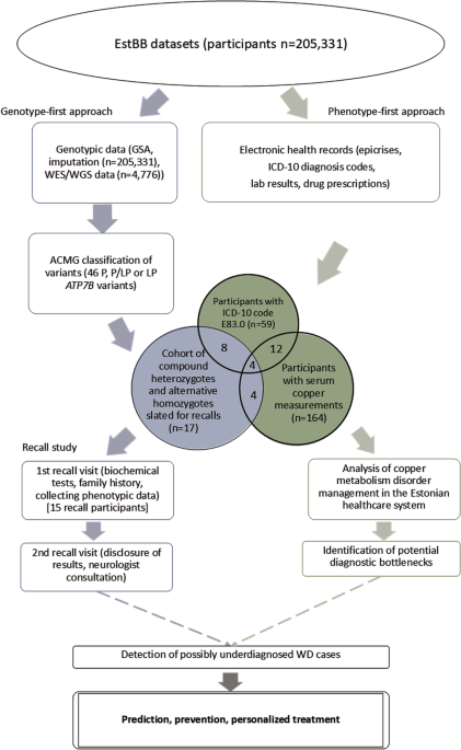 Use of Estonian Biobank data and participant recall to improve Wilson’s disease management