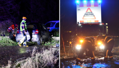 Flera träd har fallit över hus i Sverige efter stormbyar | Världen