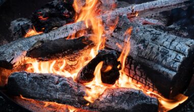 Around 40% of Swiss wood is burned