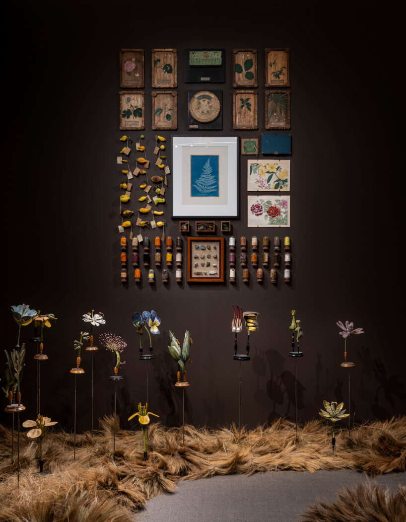exhibition palazzo grimani venice