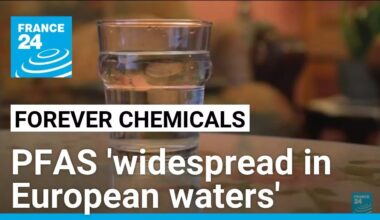 'Forever chemicals' widespread in European waters, says EU environment agency • FRANCE 24 English