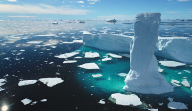 Arctic Tundra Shifts To Source Of Climate Pollution, According To New Report Card