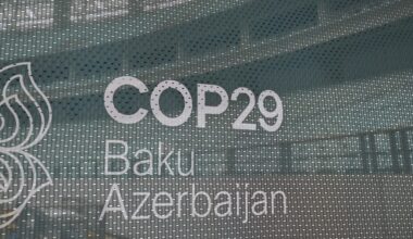 File image: A logo for COP29 in Baku. Photo: IAEA Imagebank/Flickr. CC BY 2.0.