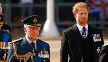Prince Harry takes swipe at King Charles amid existing royal rift in new documentary
