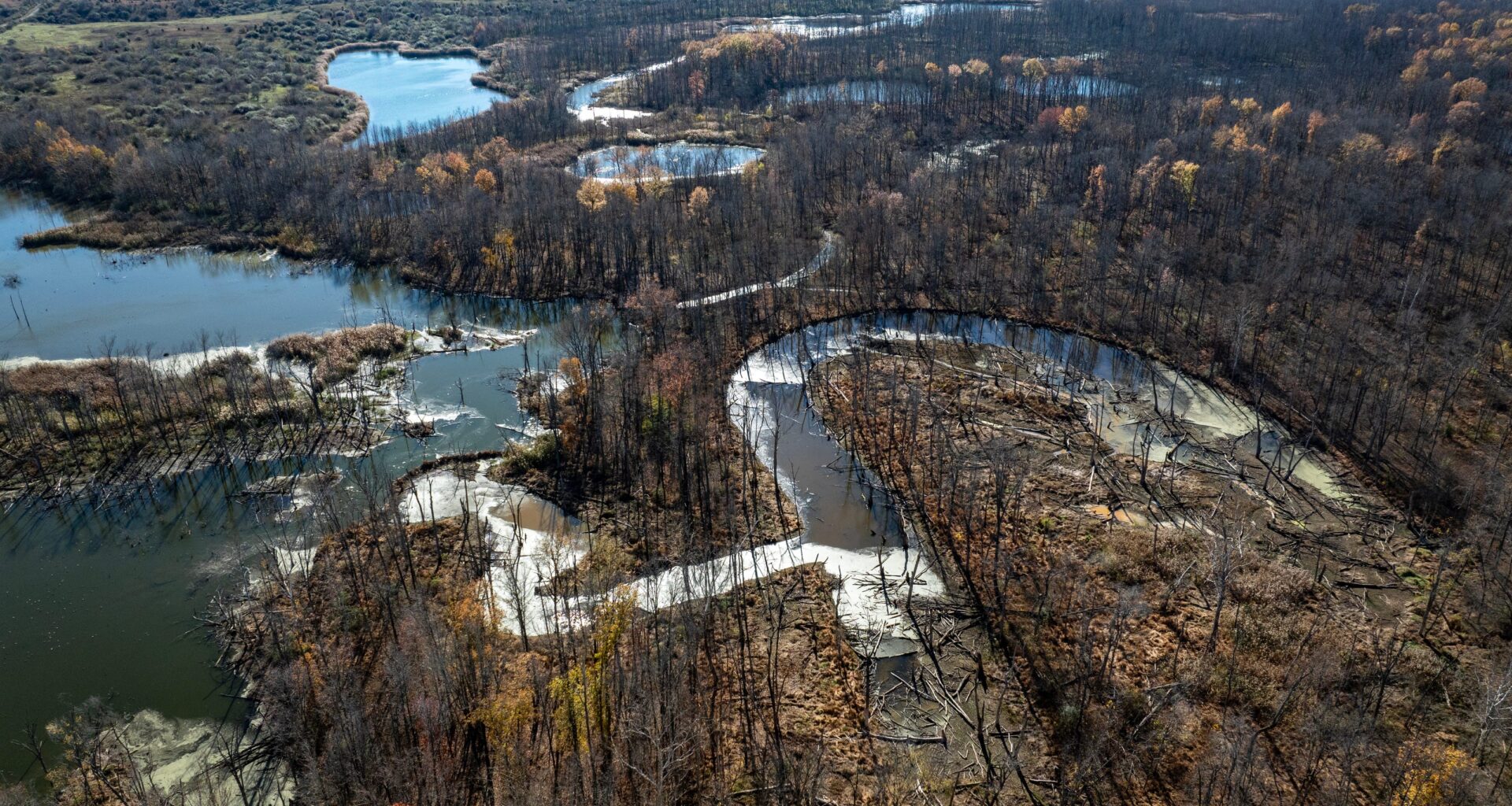 Indiana's newest public land purchase spans 4,000 acres