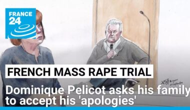Ex-husband in French mass rape trial asks for 'forgiveness' from his family • FRANCE 24 English