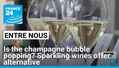 Is the champagne bubble popping? Sparkling wines offer alternative • FRANCE 24 English