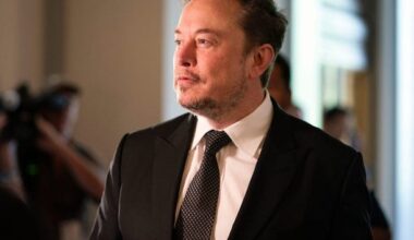 Elon Musk endorses far-right German political party after attack