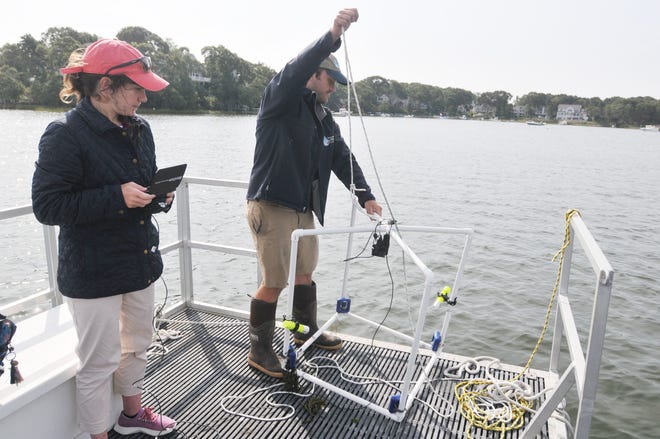 In this Sept. 28, 2023 photo, environmental researcher Nicole Corbett, left, watches as Barnstable Clean Water Coalition field operations manager Luke Cadrin lowers a camera into Ockway Bay in Mashpee to take video of the shallow area. Corbett is able to see what the the camera is taking in real time on the screen she is holding. Corbett studied seaweed and jellyfish to get an understanding of the water quality in Cape Cod embayments and estuaries, especially Popponesset. The Association to Preserve Cape Cod has released its 2024 State of the Waters report which says water in the Cape's bays and freshwater ponds are struggling because of nitrogen and phosphorus from septic tanks and other sources.