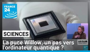 Willow, la puce quantique de Google, est-elle un pas vers l'ordinateur quantique ? • FRANCE 24