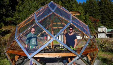 What is solarpunk? Hopeful environmental movement thrives in Bay Area