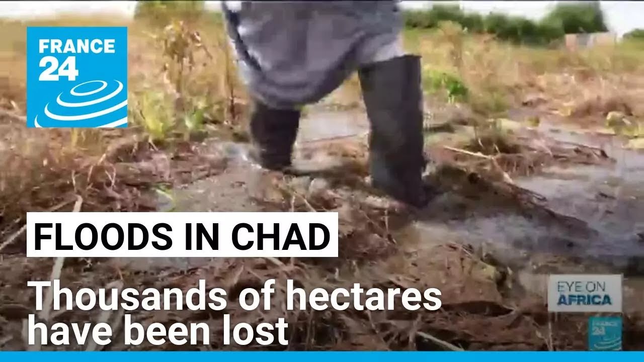 Floods in Chad: Tens of thousands of livestock drowned • FRANCE 24 English