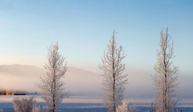 Forecast 13-18 degrees of frost in the city