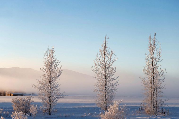 Forecast 13-18 degrees of frost in the city