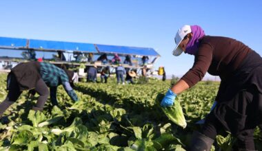 Opinion: Trump’s deportations are on a collision course with a California economy built on hypocrisy