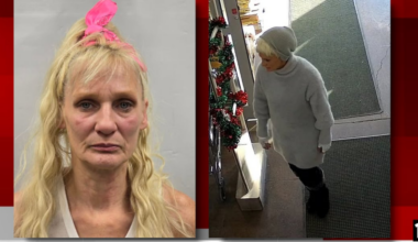 Woman arrested for stealing $2K worth of power tools from Alliance business