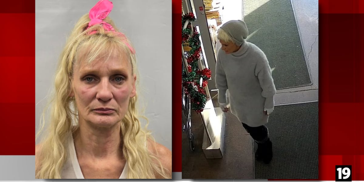 Woman arrested for stealing $2K worth of power tools from Alliance business