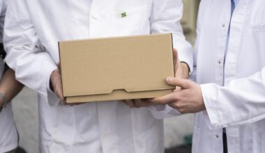 Thousands of fake signatures flagged in Swiss people's initiative