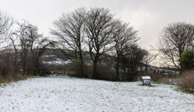 Northern Ireland weather forecast: Met Office issues yellow warnings for strong winds and snow