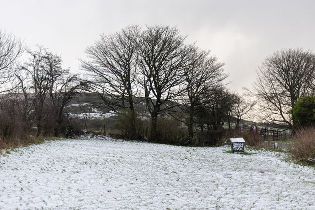 Northern Ireland weather forecast: Met Office issues yellow warnings for strong winds and snow
