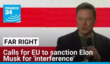 Europe's far right: Calls for EU to sanction Elon Musk for 'interference' • FRANCE 24 English