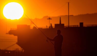 UN declares ‘decade of deadly heat’, calls for action against climate breakdown | World News