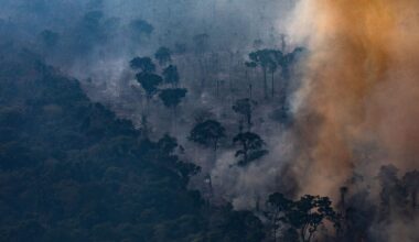 Doomsday scenarios prompt preparations around the globe