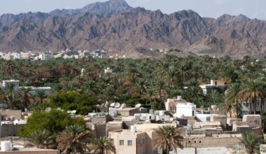 Environment Authority establishes Ghaf Tree Reserve in South Sharqiyah