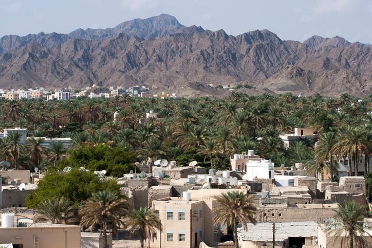 Environment Authority establishes Ghaf Tree Reserve in South Sharqiyah