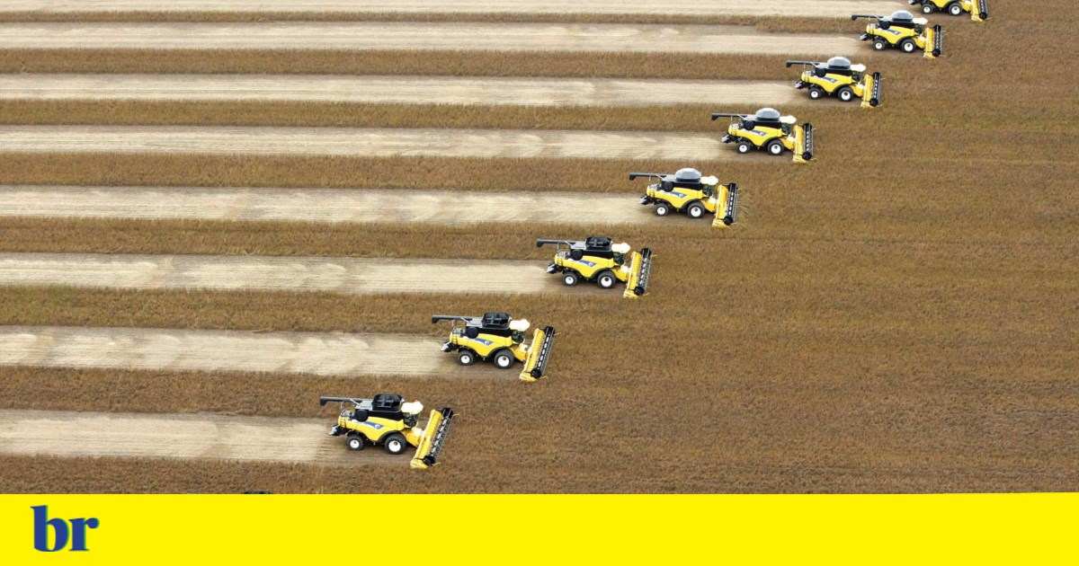Brasil será a grande estrela da Feira de Agricultura de Portugal em 2025 | Brasil
