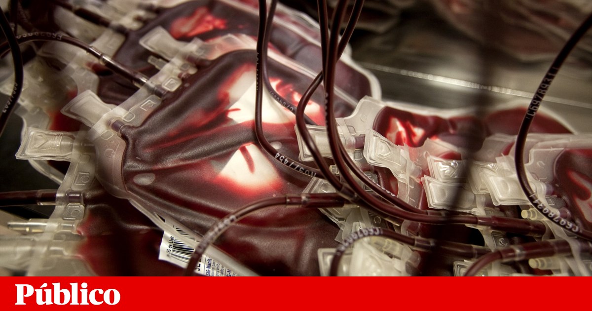 Estratégia conseguiria reduzir em metade a necessidade de sangue em Portugal | Saúde