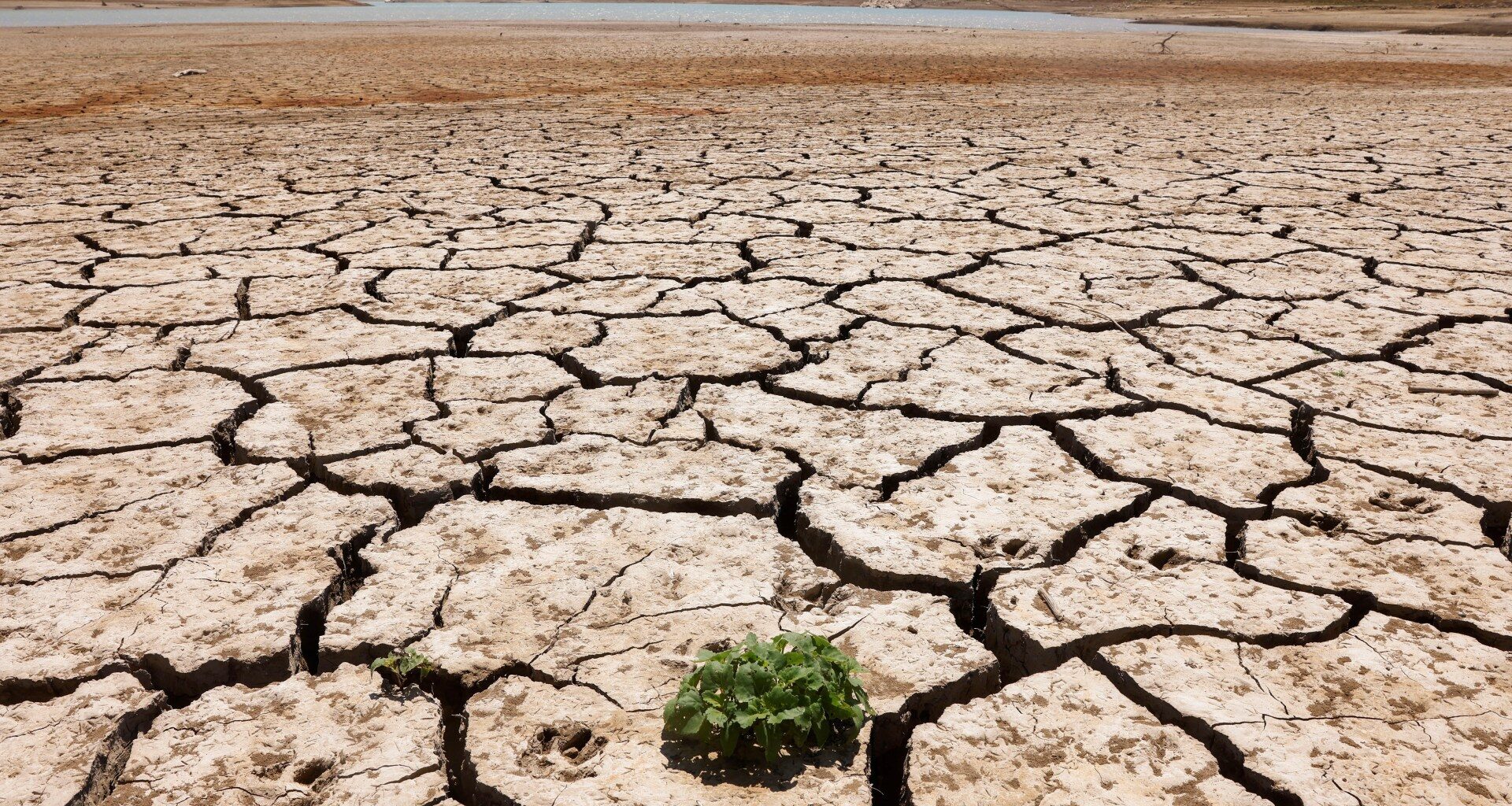 Saudi-hosted UN talks fail to produce deal to tackle global drought | Drought News
