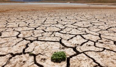 Saudi-hosted UN talks fail to produce deal to tackle global drought | Drought News