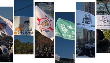 Memes, Jokes and Cats: South Koreans Use Parody for Political Protest