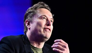 Musk, Vivek face target-rich environment for wacky regs and waste