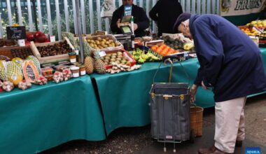 People prepare for Christmas in Paris, France-Xinhua
