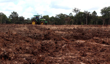 Indonesia's renewable energy plans may put forests at risk