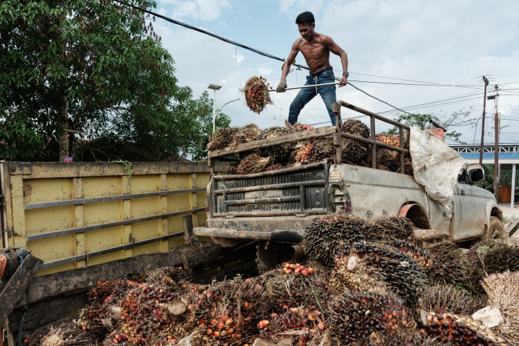 A man unloads palm oil seeds from a pickup truck after bringing them from a plantation to sell at a market in Sepaku, East Kalimantan, on July 10, 2024.
