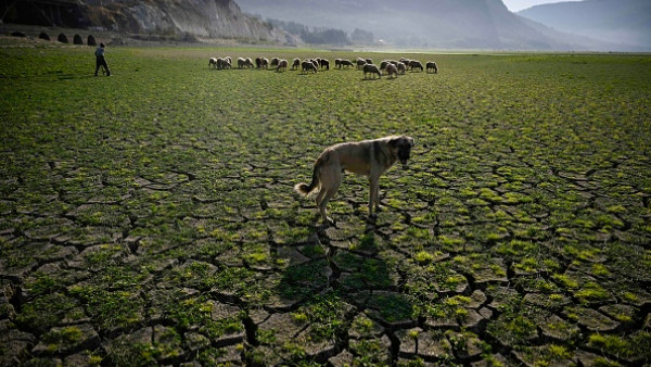 2024 'certain' to be hottest year on record: EU monitor