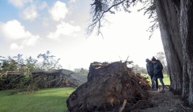 Power outages could last for days after Ireland battered by strongest winds for years – The Irish Times