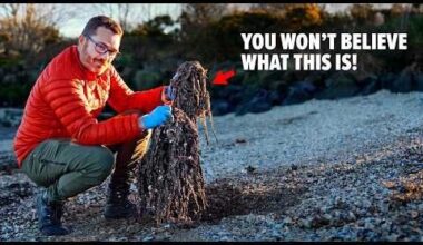 The most disgusting beach in Northern Ireland (hidden for 50 years)