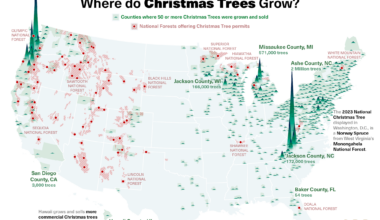 More than 25 million Christmas trees are harvested in the US. Here's where they grow. [OC]