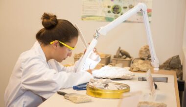 What’s behind Czechia’s lowest representation of women in science?