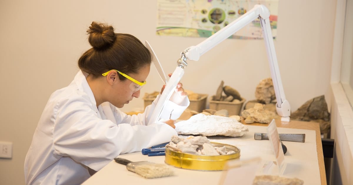 What’s behind Czechia’s lowest representation of women in science?