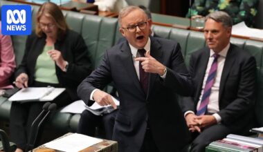 Federal politics live: Albanese denies deal with Greens, feud with Plibersek over environment laws