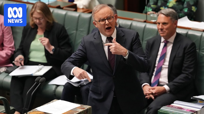 Federal politics live: Albanese denies deal with Greens, feud with Plibersek over environment laws
