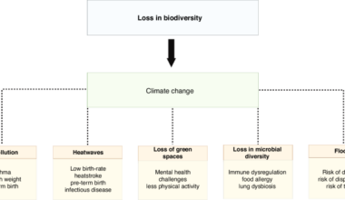 Impact of urban biodiversity and climate change on children’s health and well being