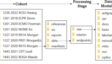 A novel translational bioinformatics framework for facilitating multimodal data analyses in preclinical models of neurological injury