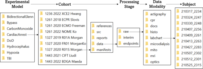 A novel translational bioinformatics framework for facilitating multimodal data analyses in preclinical models of neurological injury