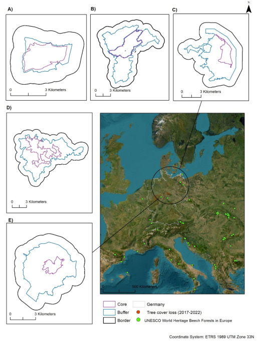 Old-growth beech forests in Germany as cool islands in a warming landscape